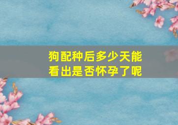 狗配种后多少天能看出是否怀孕了呢