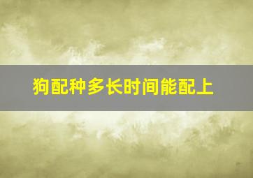 狗配种多长时间能配上