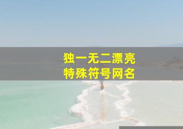 独一无二漂亮特殊符号网名