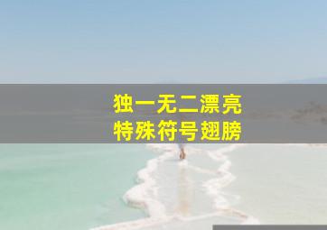 独一无二漂亮特殊符号翅膀