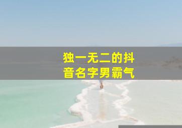 独一无二的抖音名字男霸气