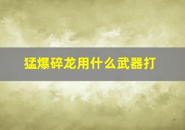 猛爆碎龙用什么武器打