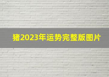 猪2023年运势完整版图片