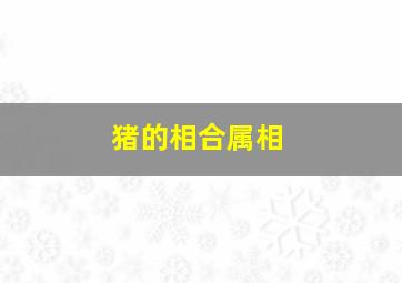 猪的相合属相