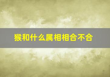 猴和什么属相相合不合