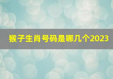 猴子生肖号码是哪几个2023