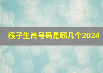 猴子生肖号码是哪几个2024