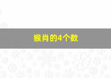 猴肖的4个数