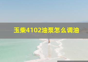 玉柴4102油泵怎么调油