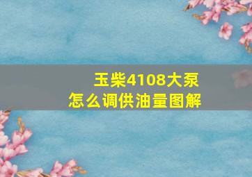 玉柴4108大泵怎么调供油量图解