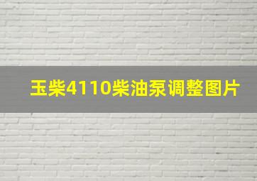 玉柴4110柴油泵调整图片