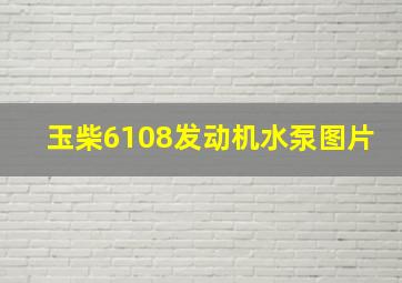 玉柴6108发动机水泵图片