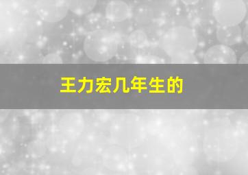 王力宏几年生的