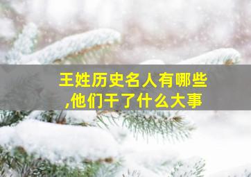 王姓历史名人有哪些,他们干了什么大事