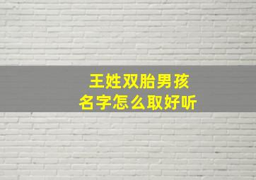 王姓双胎男孩名字怎么取好听