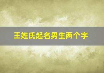 王姓氏起名男生两个字