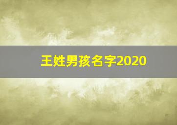 王姓男孩名字2020