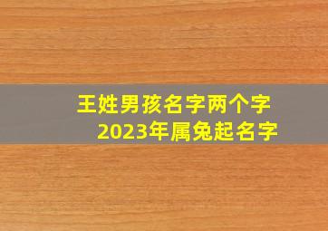 王姓男孩名字两个字2023年属兔起名字