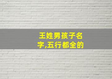 王姓男孩子名字,五行都全的