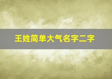 王姓简单大气名字二字