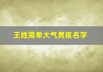 王姓简单大气男孩名字