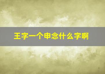 王字一个申念什么字啊