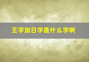 王字加日字是什么字啊