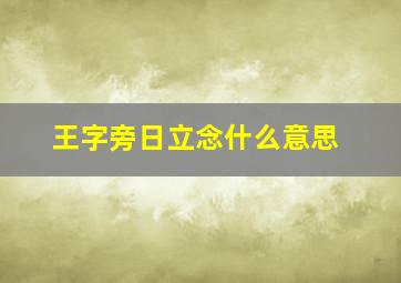 王字旁日立念什么意思