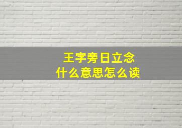 王字旁日立念什么意思怎么读