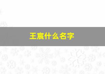 王宸什么名字