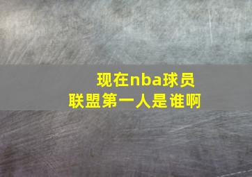 现在nba球员联盟第一人是谁啊