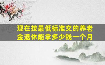 现在按最低标准交的养老金退休能拿多少钱一个月