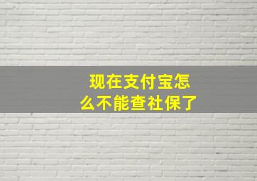 现在支付宝怎么不能查社保了