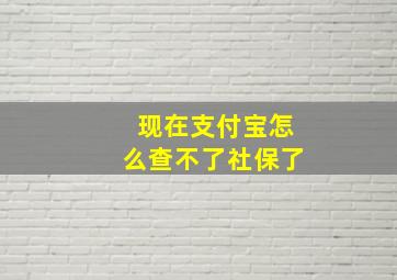 现在支付宝怎么查不了社保了