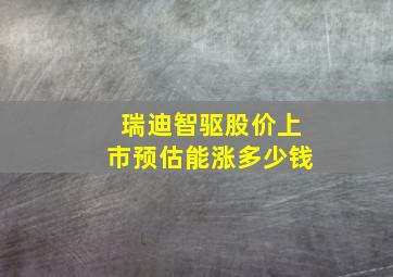 瑞迪智驱股价上市预估能涨多少钱