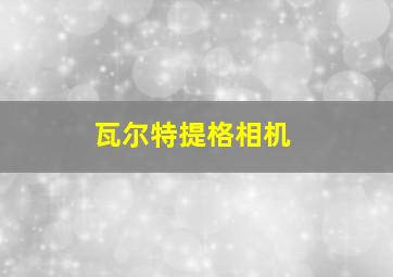 瓦尔特提格相机