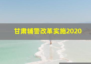 甘肃辅警改革实施2020