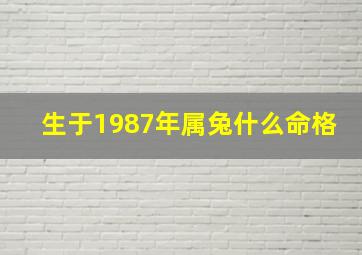 生于1987年属兔什么命格