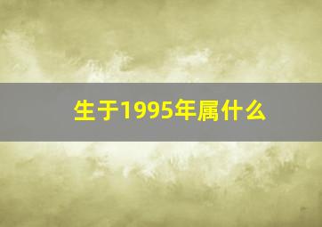 生于1995年属什么