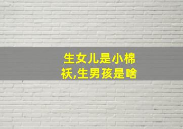 生女儿是小棉袄,生男孩是啥