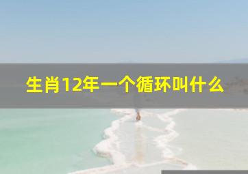 生肖12年一个循环叫什么