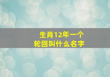 生肖12年一个轮回叫什么名字