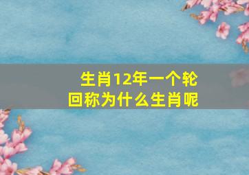 生肖12年一个轮回称为什么生肖呢