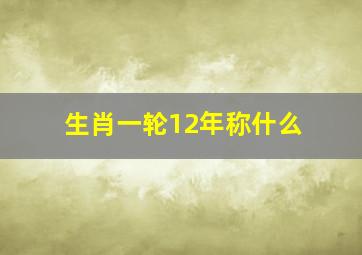 生肖一轮12年称什么