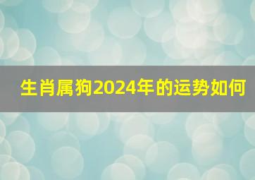 生肖属狗2024年的运势如何