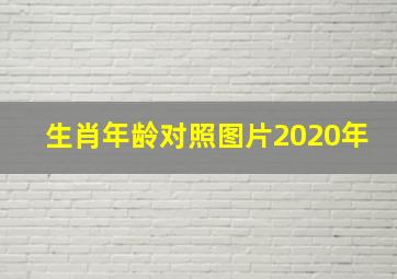 生肖年龄对照图片2020年