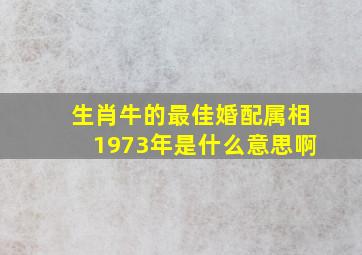 生肖牛的最佳婚配属相1973年是什么意思啊