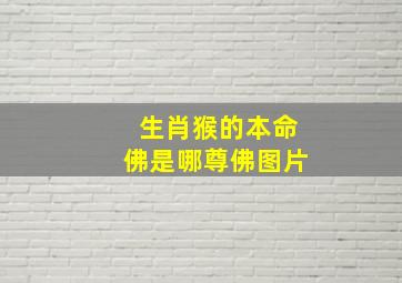 生肖猴的本命佛是哪尊佛图片