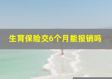 生育保险交6个月能报销吗