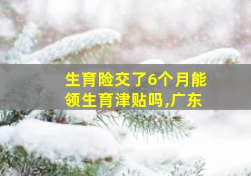 生育险交了6个月能领生育津贴吗,广东